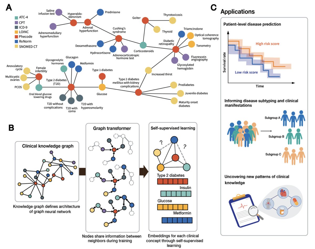 Marinka Zitnik (@marinkazitnik) on Twitter photo Medicine thrives on knowledge, yet clinical vocabularies are fragmented. AI struggles to unify this knowledge, creating a gap in precision medicine. Excited to share unified clinical vocabulary embeddings, a project led by stellar <a href="/ruthie_johnson/">Ruthie Johnson</a>
Half of healthcare foundation AI Medicine thrives on knowledge, yet clinical vocabularies are fragmented. AI struggles to unify this knowledge, creating a gap in precision medicine. Excited to share unified clinical vocabulary embeddings, a project led by stellar <a href="/ruthie_johnson/">Ruthie Johnson</a>
Half of healthcare foundation AI