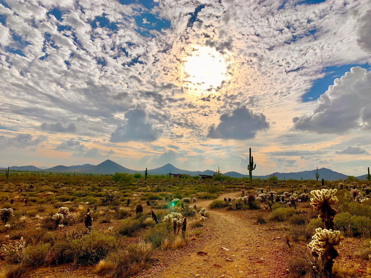 PTenigma's tweet image. COME JOIN US in Phoenix tomorrow @ 1pm for ACNP’s “Teaching Day - Big Data: Access, Tools, Applications” #ACNP2024 featuring Damien Fair + Helen Mayberg (+me if I get to Phoenix in time !!!)