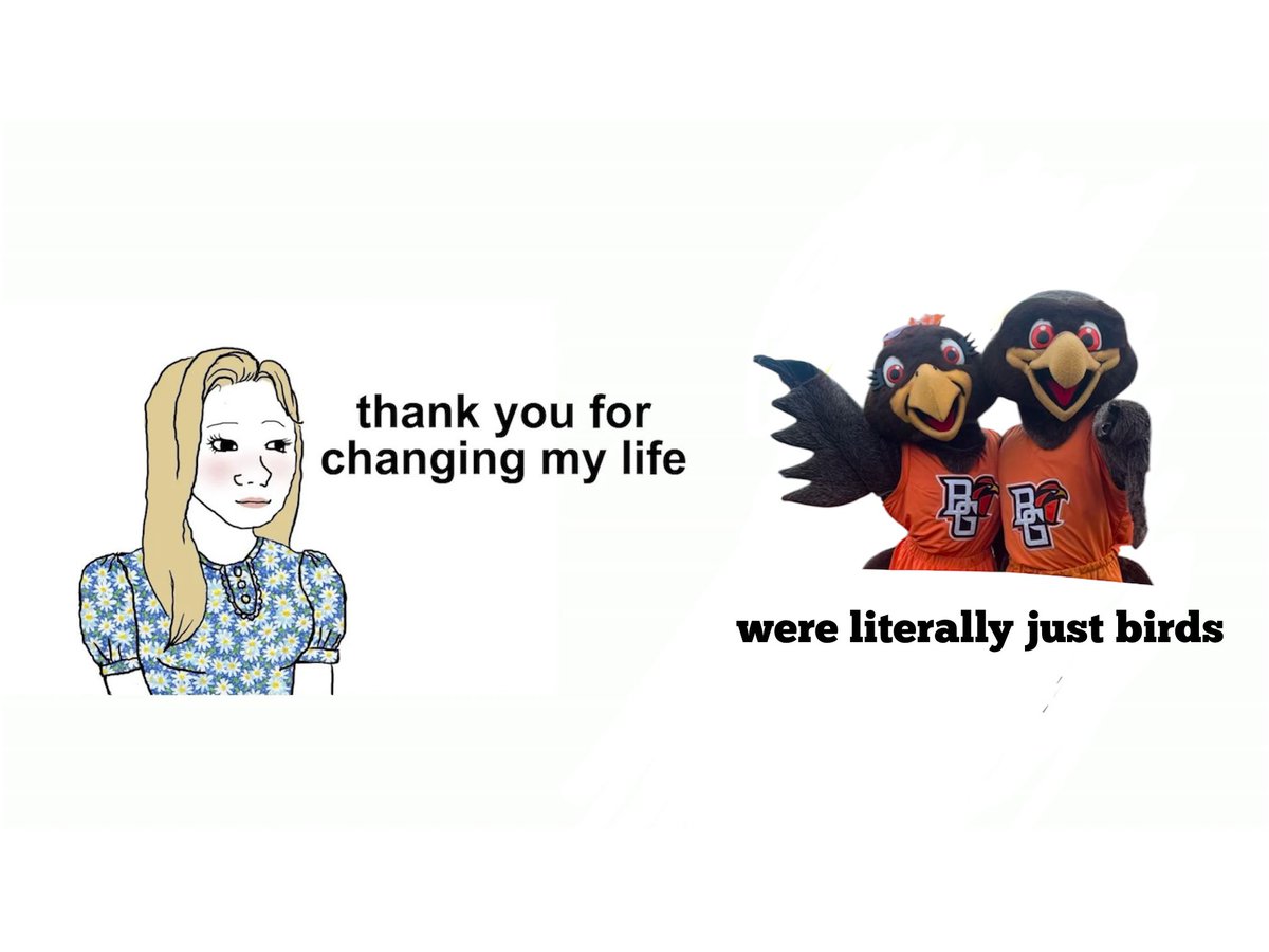 BGSUBirds's tweet photo. https://t.co/oIkMGa42MS