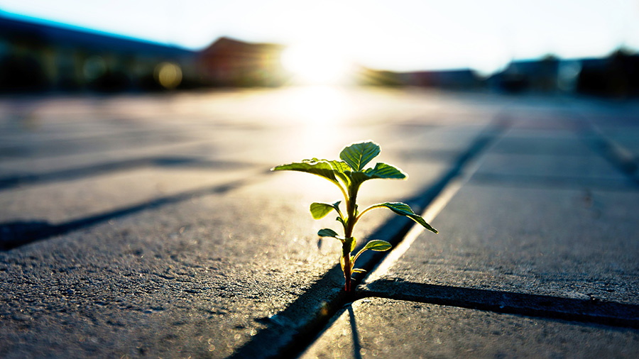 Join us on Wednesday for ASBMB's free webinar on learning to thrive in challenging environments! Our panelists will discuss how to effectively manage high-stress situations, sustain motivation and navigate professional hurdles with confidence. Register: ow.ly/mRrt50UoIAq.