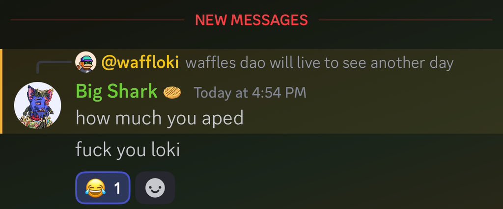 Fun and games with the waffles 😹