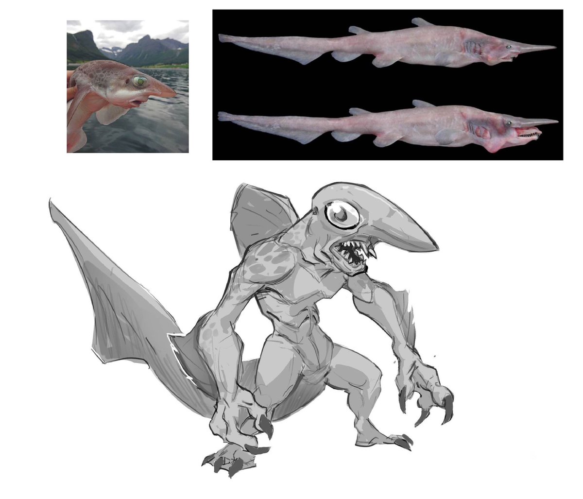 GOBLIN shark