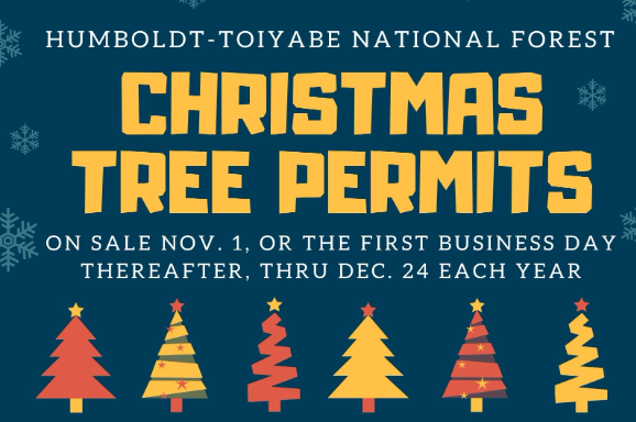 GBInstitute's tweet image. 🎄✨ Bring home the perfect Christmas tree this holiday season! 🎁 Permits for cutting your own tree are available through the U.S. Forest Service or in person at Galena Creek Visitor Center! 🌲  #GBI #ChristmasTreePermit #USFS #SupportForests #GalenaCreek #GreatBasinInstitute