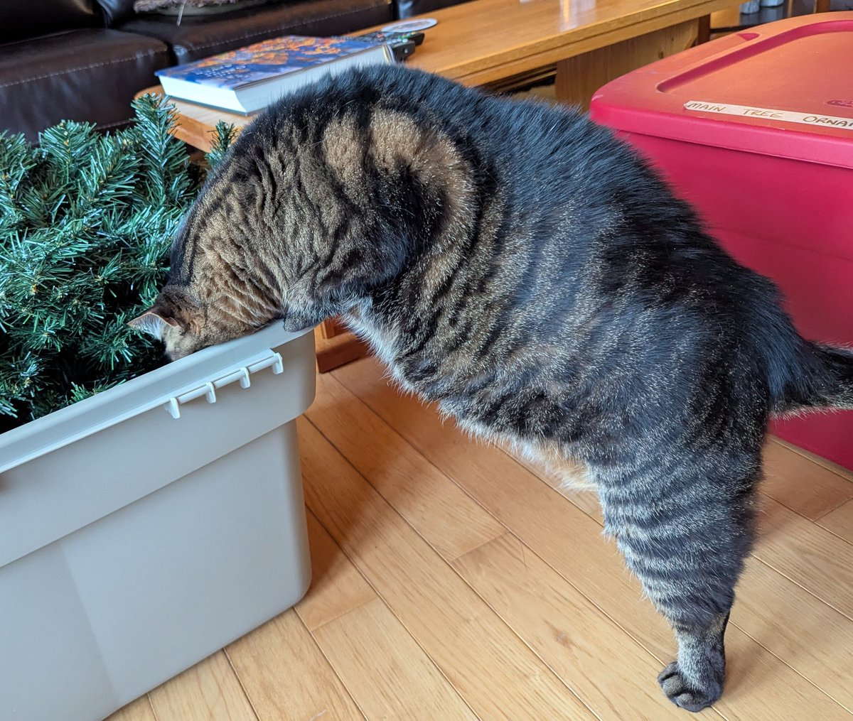 KeitherKeith's tweet photo. #Micker did not "help". He hindered. But we got it up. To be completed at a later date. https://t.co/oMgd9CKEAP