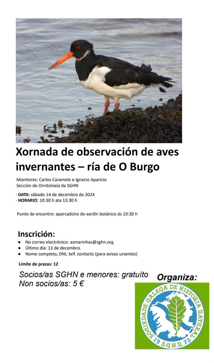 Delegación de As Mariñas da SGHN organiza unha xornada de observación de aves invernantes na Ría do Burgo o vindeiro sábado 14 de decembro
