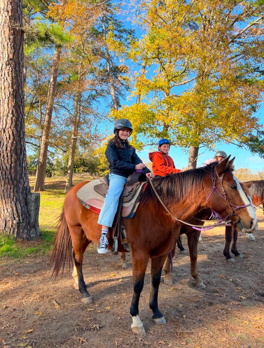 Amanda Watson tweet media