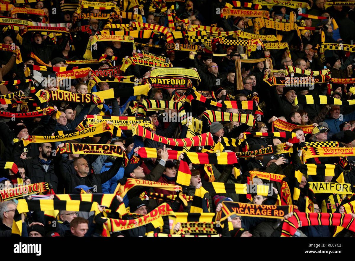 TheRedLionvic's tweet photo. @WatfordFC are at home vs @WBA this Sunday and the Red Lion will be open from 11 AM all #WatfordFC are welcome Join us for drinks, and a great atmosphere! ๐ป #SundayFunday #RedLionPub #pub #football #home #fans https://t.co/ZD2pvUc804