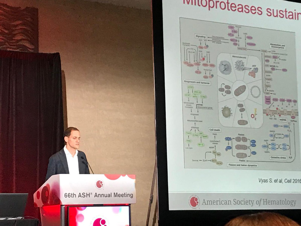 Tommaso Perini tweet media