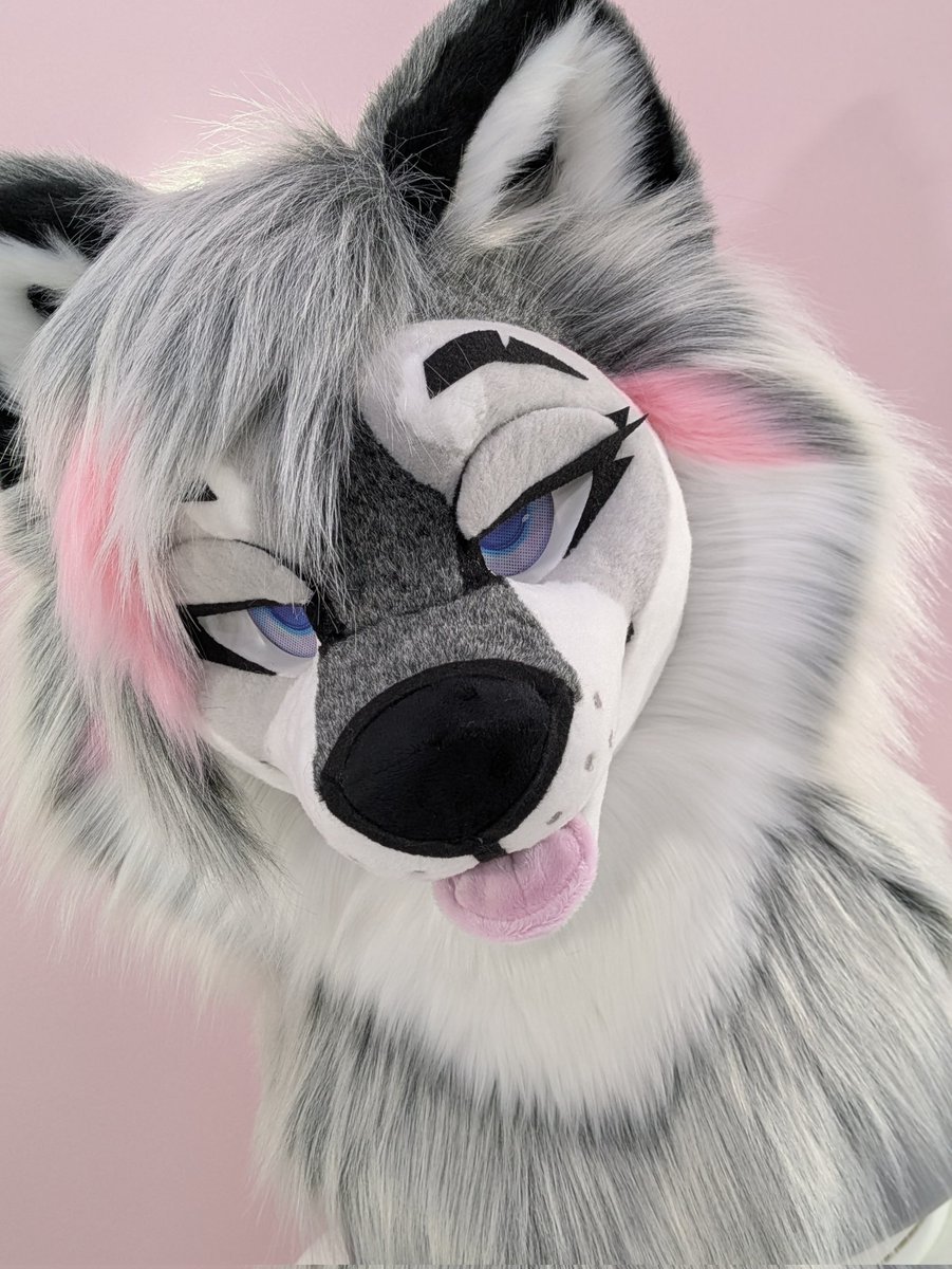 WearCreations's tweet photo. Fursuit head available now!
.
Fits 22-25" head - adjustable comfort harness with buckle
Invisible zipper in back
Magnetic hair
Removable tongue and eyelids
PLA headbase with a static jaw and PLA teeth
Subliminated FM eyes
.
Available to ship now as a head only! Price is 3k USD. https://t.co/Fxb5EU6m0V