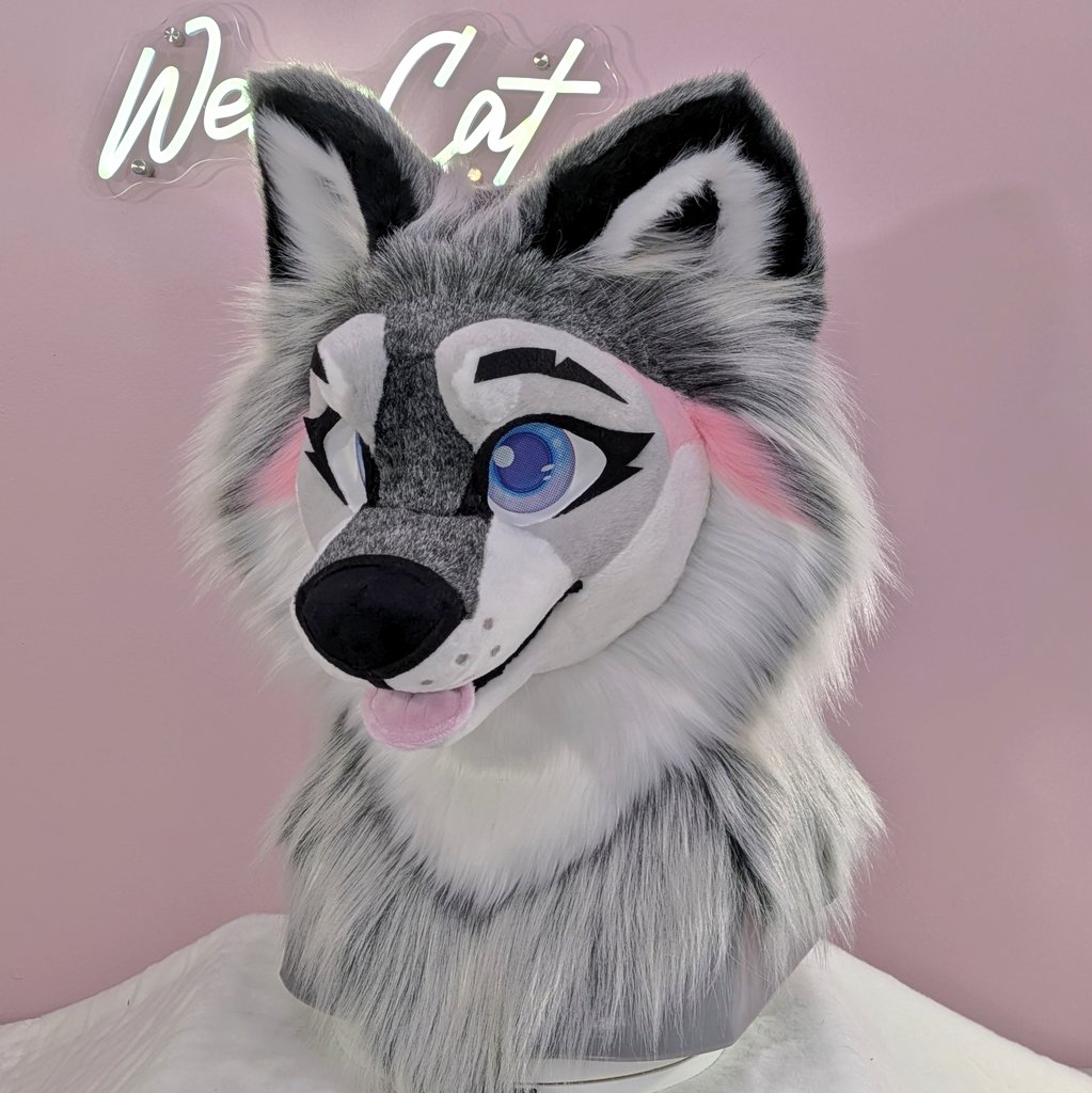 WearCreations's tweet photo. Fursuit head available now!
.
Fits 22-25" head - adjustable comfort harness with buckle
Invisible zipper in back
Magnetic hair
Removable tongue and eyelids
PLA headbase with a static jaw and PLA teeth
Subliminated FM eyes
.
Available to ship now as a head only! Price is 3k USD. https://t.co/Fxb5EU6m0V