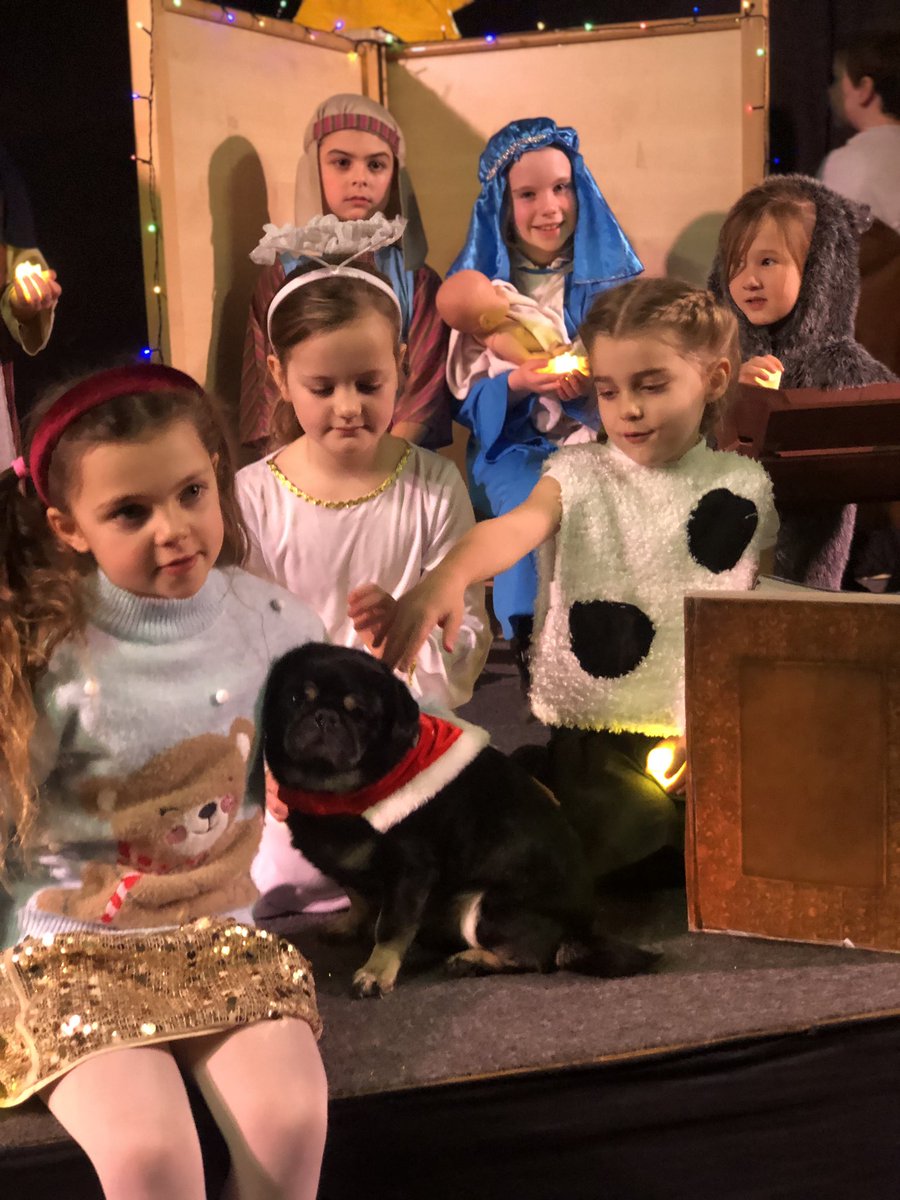 The Staffordshire Schools Multi Academy Trust tweet media