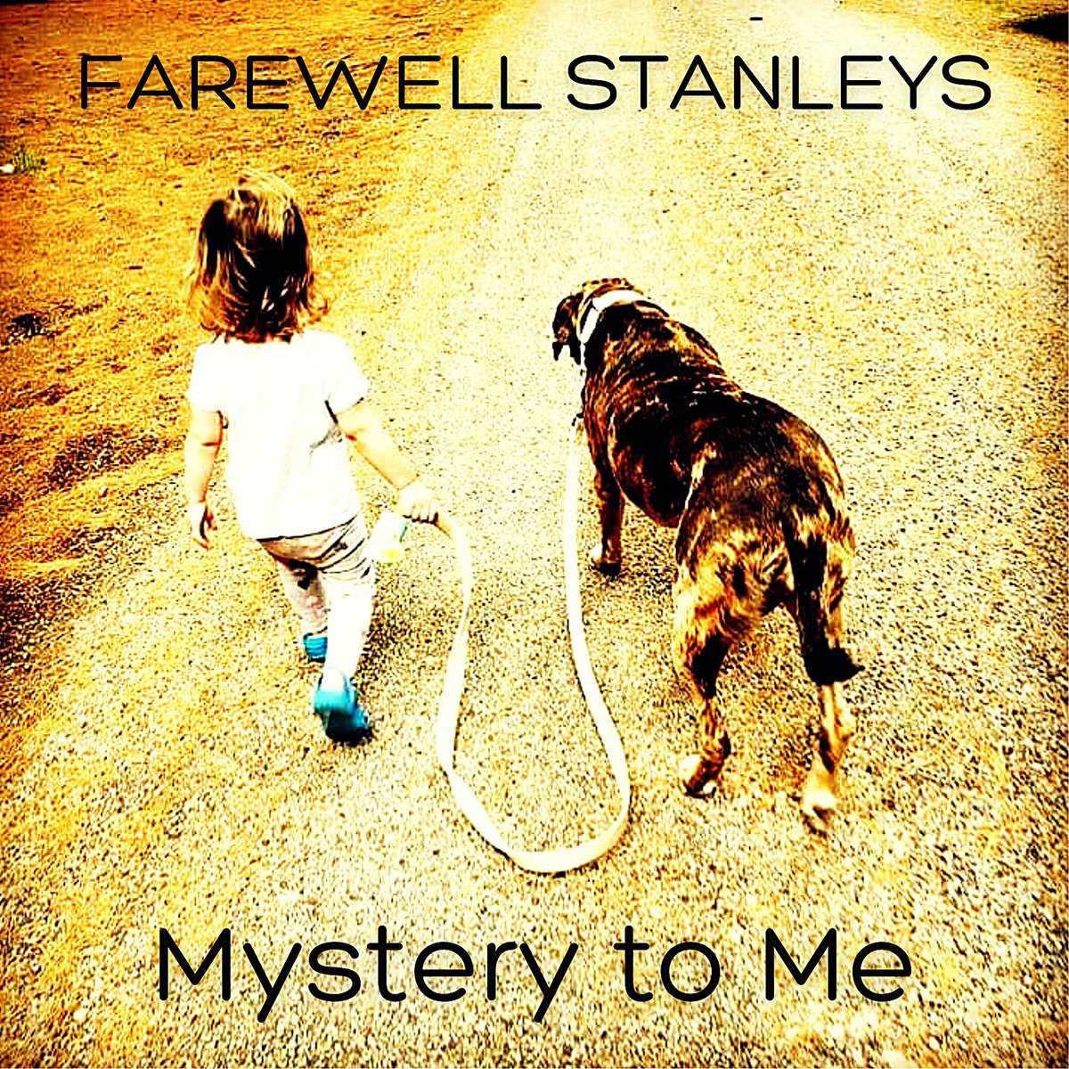 Our 5th full-length album recorded at @emacrecordingstudios and produced by @moetpoh is called “Mystery to Me.” More singles from the album and release details coming soon! Stay tuned! #10songs #LP #mysterytome #albumcover