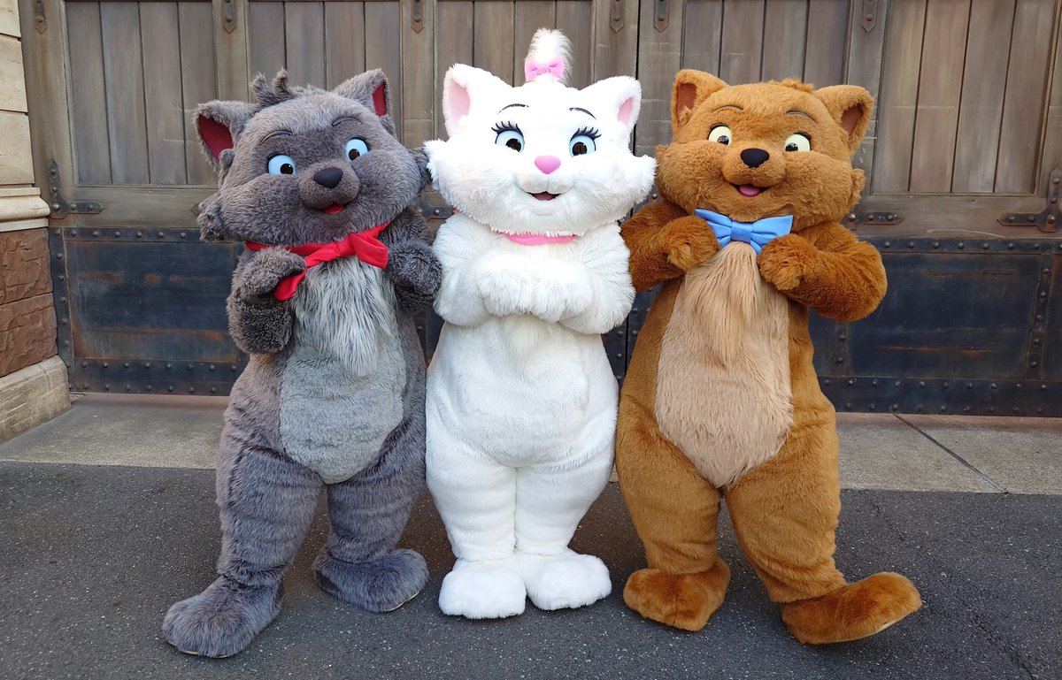 おしゃれキャットスクリーンデビューおめでとう🎂🎉
マリーちゃん、ベルリオーズ、トゥルーズのおかげで笑ったり泣いたりできてる🥲
いつもありがとう。ずっと大好き❤️
