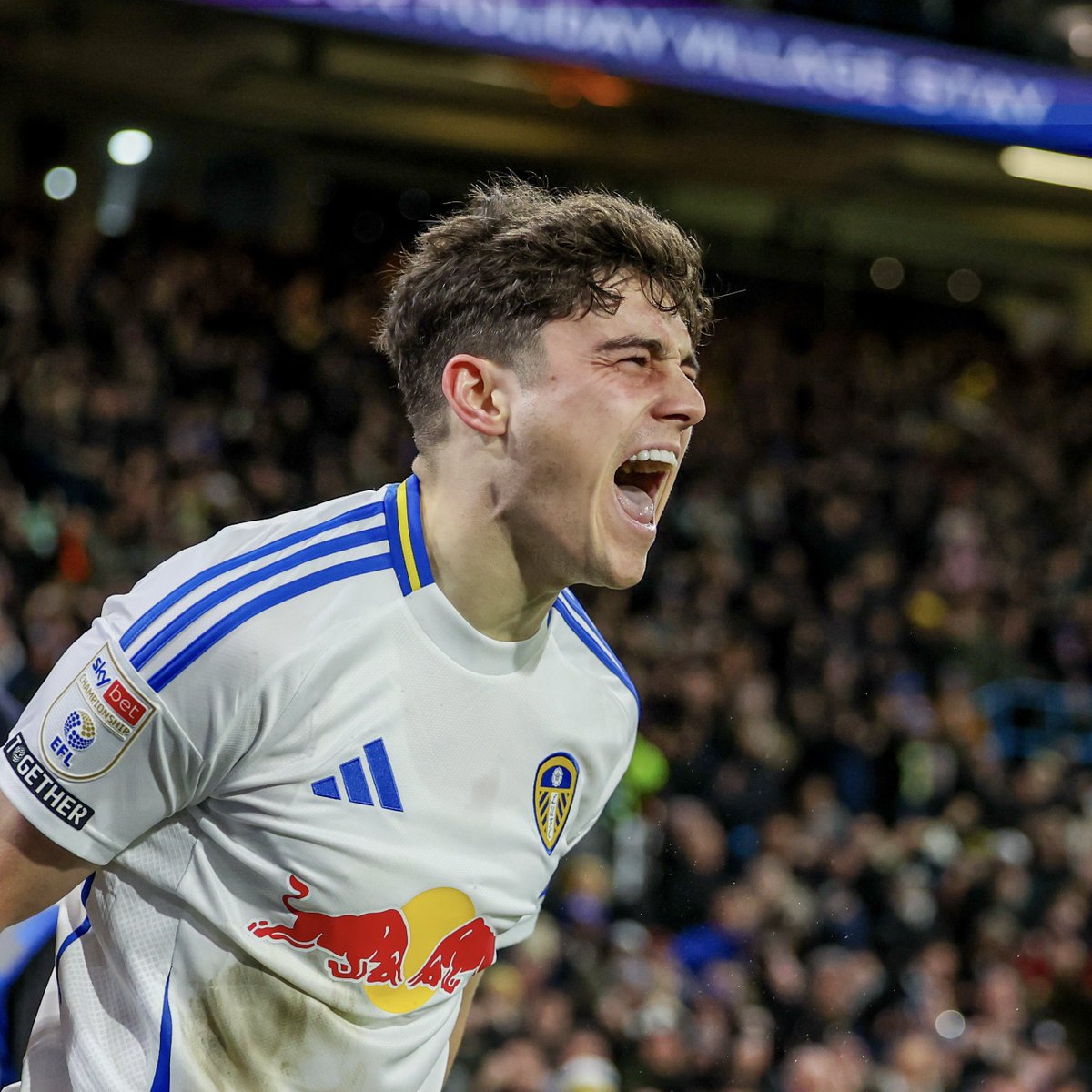 Leeds United tweet media