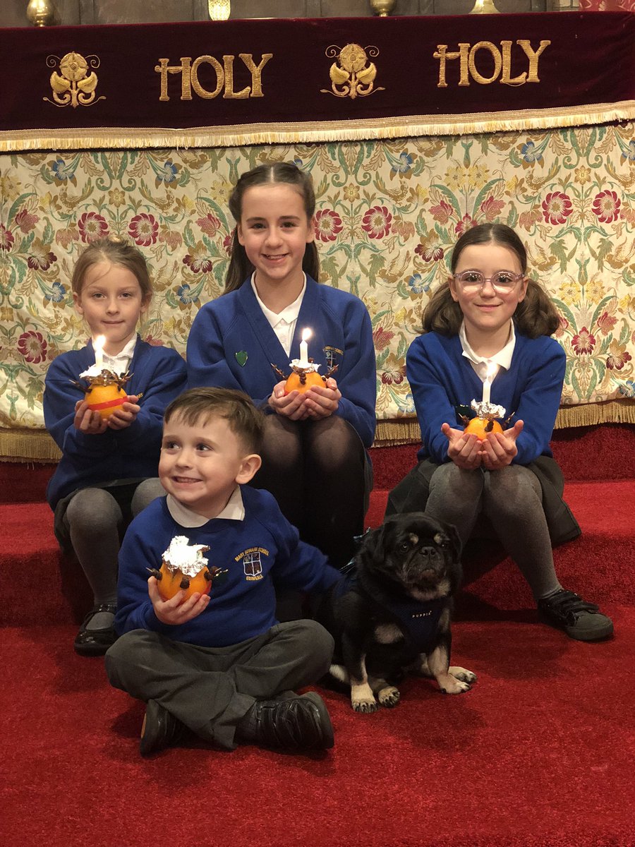 The Staffordshire Schools Multi Academy Trust tweet media