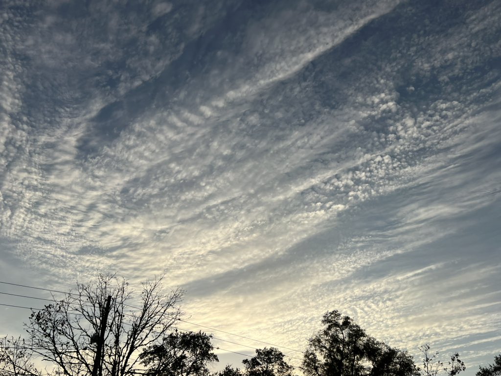 SuePearFL's tweet photo. Gainesville #Florida another massive GeoEngineered “Unset” 12-10-2024
Dozens of planes dumping. Forecast of Rain and a 20° temp drop coming Thursday. 🤬 #GeoengineeredSky #WeatherModification @IleanaGarciaUSA @GovRonDeSantis @Kat_Cammack @RobertKennedyJr https://t.co/mFMB3GwvV7