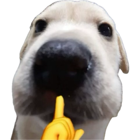 uribe2blea 💙🦅💛 tweet media