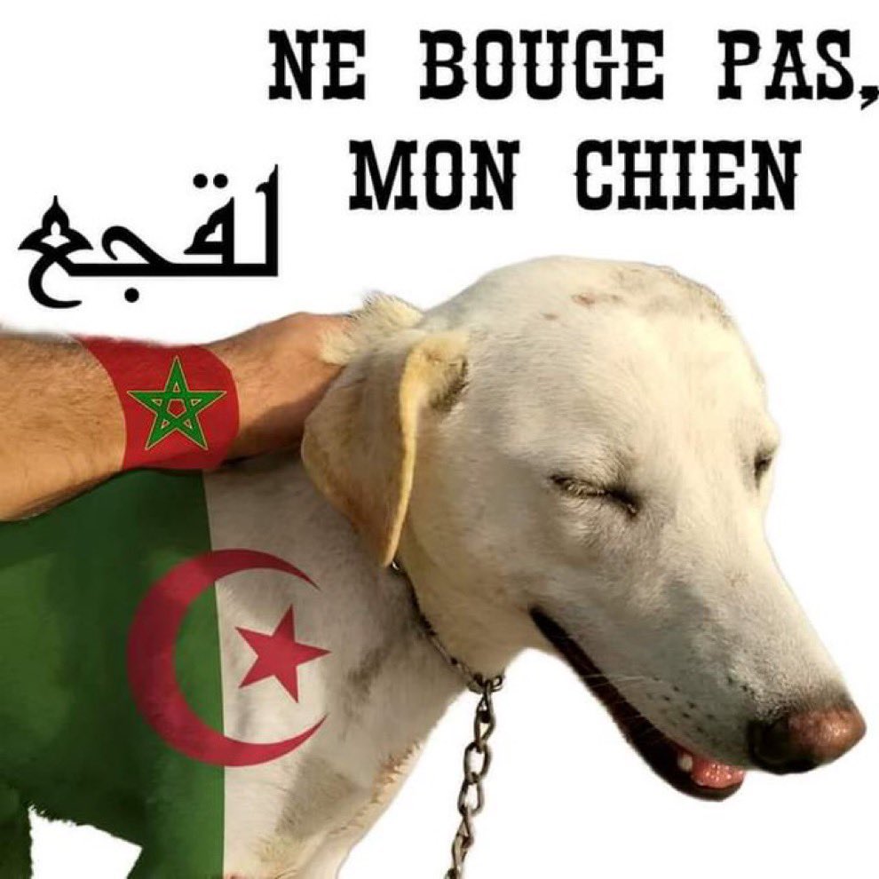 vilainmoorish's tweet photo. @anesspv @moorish_xknight D’accord bounif, au pied https://t.co/JDx4qzDxlj