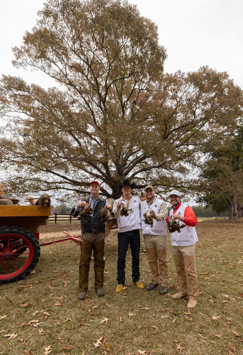 ParkerMcCollum's tweet image. Lil quail huntin in Georgia to start the week