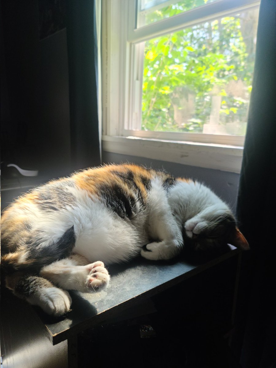 Varteras tweet media