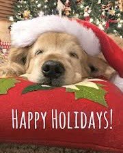 HealingTrilogy's tweet photo. (Live Tonight! ASK ABOUT PETS! 🐶#Radio Show Tuesday, Dec. 10, 7 PM PT / 10 PM ET! ✨) Join Kimberly Meredith & Special Guest Mari Cartagenova, @mediummari Internationally Known Psychic Medium & Animal Communicator, on The Medical Intuitive Miracle Show!
CALL-IN: (515) 605-9709 🌟
LISTEN LIVE:https://t.co/a0CsvmrfKq