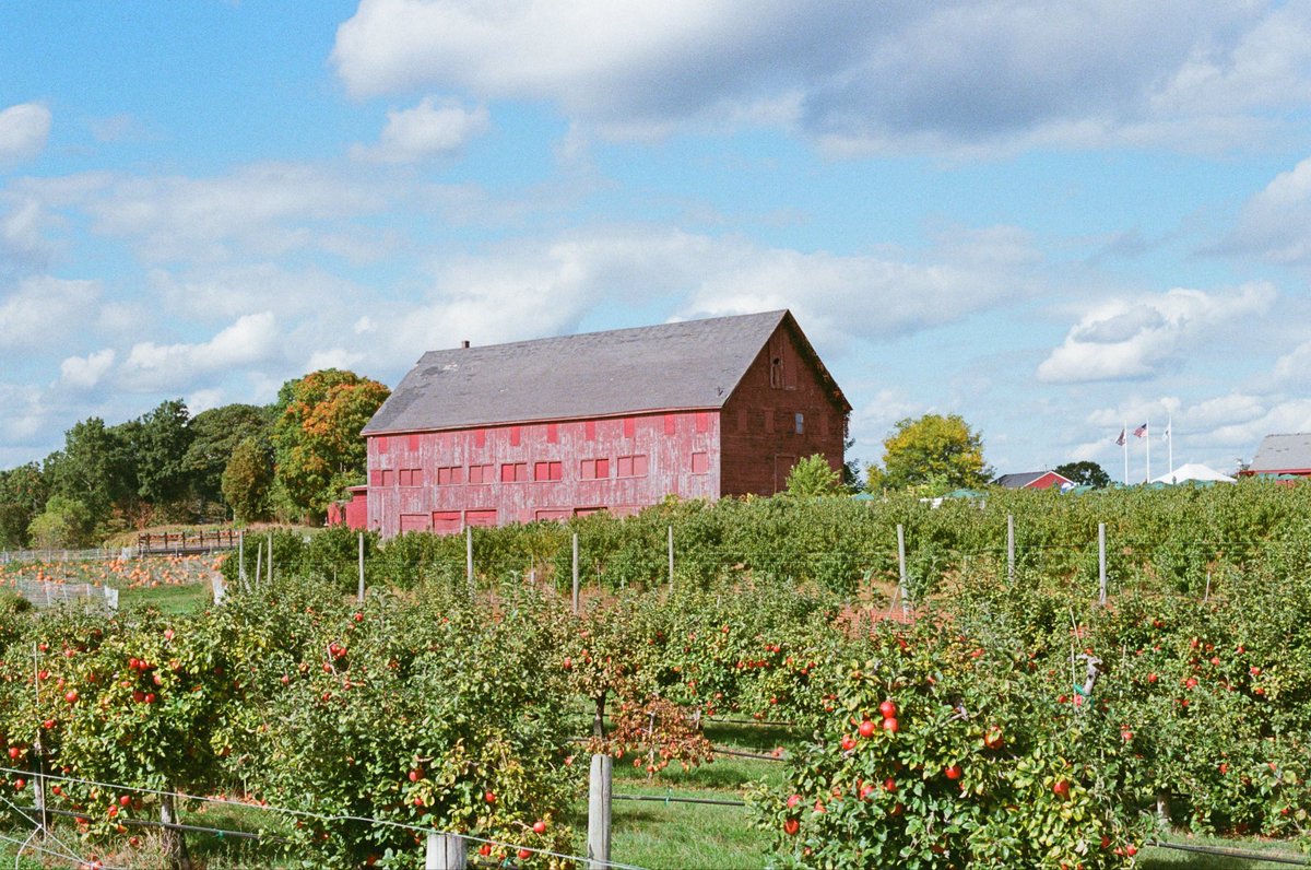 creespaschal's tweet image. Roll 2024-09-1 (Kodak Ultramax 400)