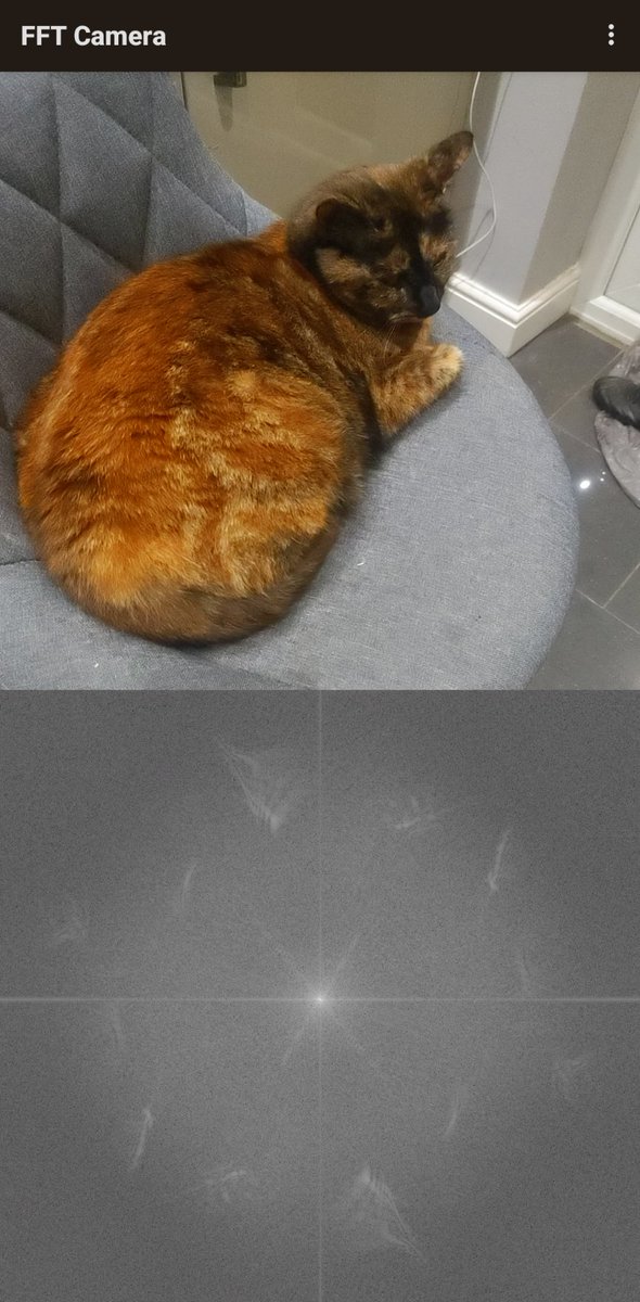 Dr Andy Smith (@evilokapi.bsky.social) (@evilokapi) on Twitter photo  Dr Andy Smith (@evilokapi.bsky.social) (@evilokapi) on Twitter photo