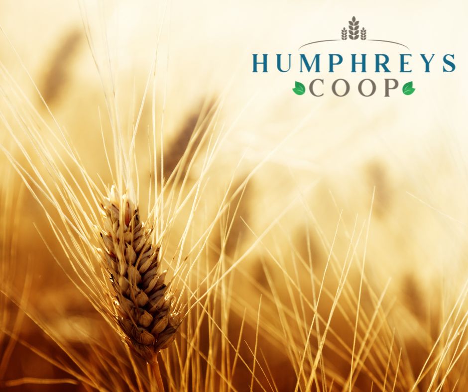 From fertilizer to herbicide and pesticide, agronomic services to custom application, the team at Humphrey's Coop is here to support you and your operation! 🌾

Give us a call today if we can be of service or to learn more! 

📞 - 580-482-5969 

#Humphreys #Oklahoma #Coop #Coo...
