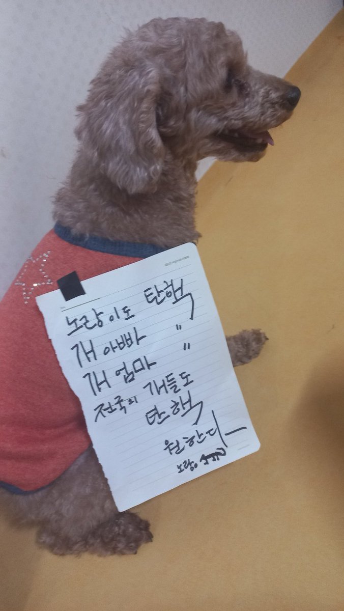 gpag21's tweet photo. 군포의 노랑이도 탄핵 https://t.co/UKmZ9uVzb7