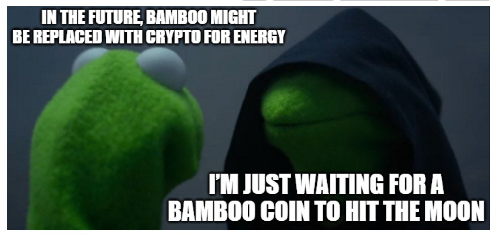 Lucky Pandas DMT (@dmt_luckypandas) on Twitter photo 