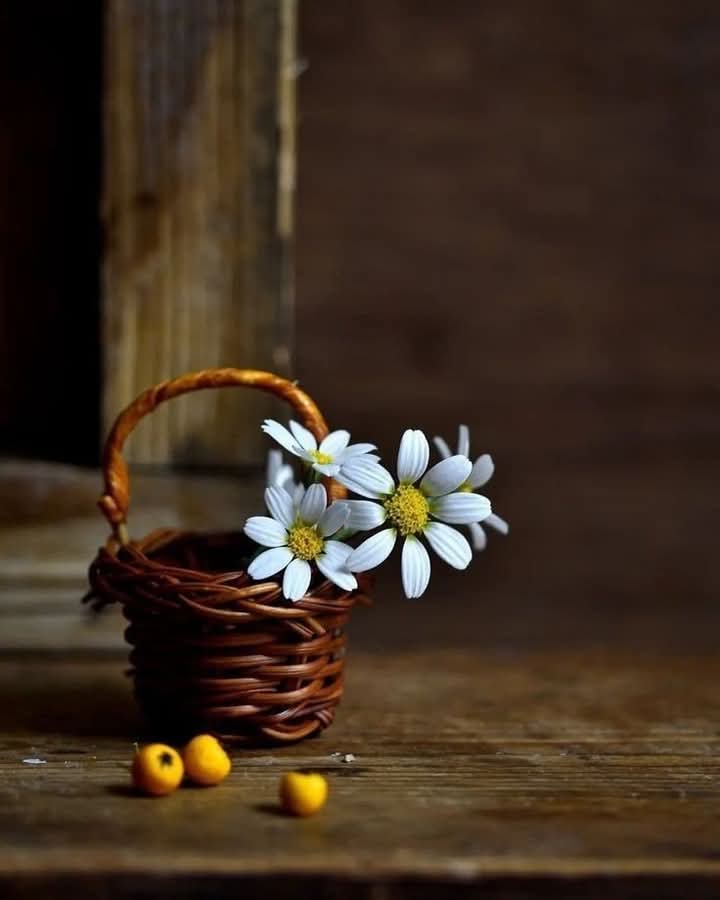 k016t's tweet photo. Ne yediğiniz ayazı unutun,
ne de o ayazı yerken
kimlerin yanınızda durmadığını..
... 🤎🌸🍂 https://t.co/LTCIMvHDEP