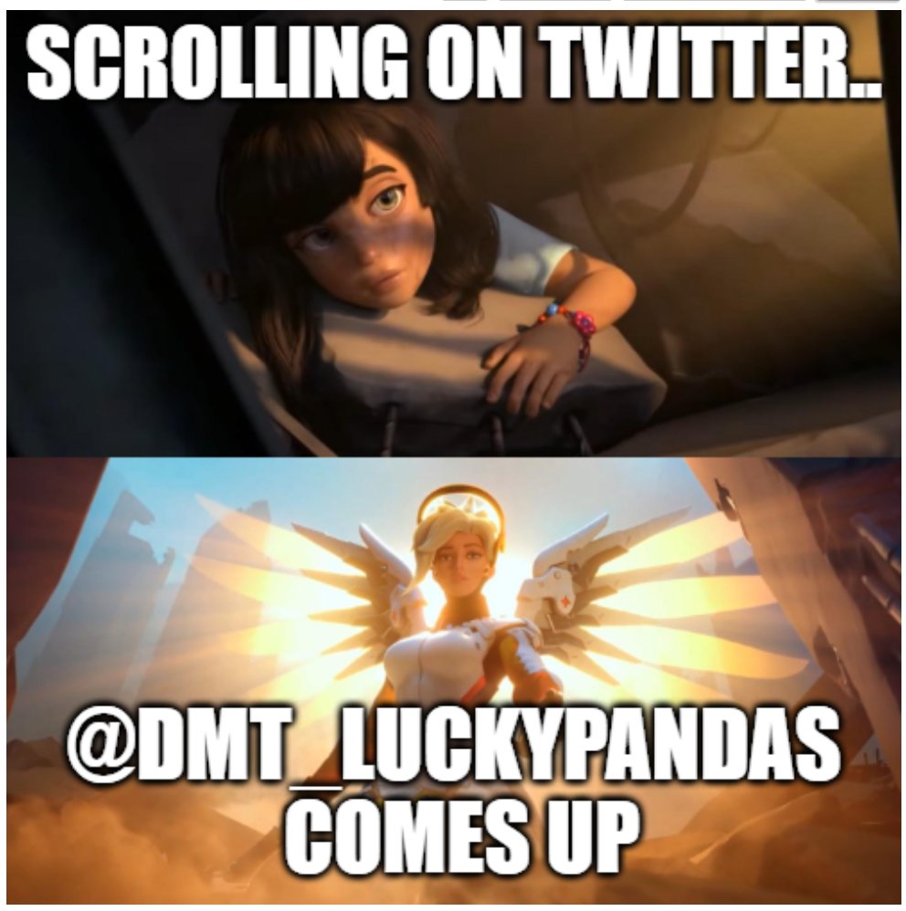 Lucky Pandas DMT (@dmt_luckypandas) on Twitter photo 