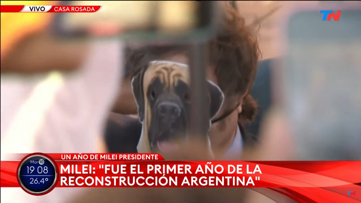 Arrepentidos de Milei tweet media