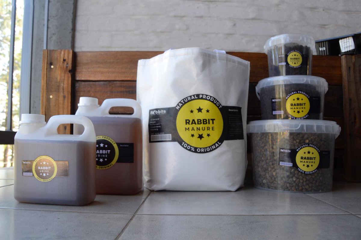 RPreneurs's tweet image. Rabbit manure and urine are on demand…..for indoor plants and backyard garden or you can buy as a gift 
Applying rabbit manure and urine to soil can be beneficial for plant growth due to their high nutrient content. 
#LetsFarmWithRabbits