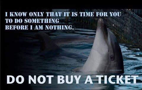 OceanicRescue's tweet photo. Taiji, Japan: Due to ongoing illnesses Kunito Seko will be taking this morning off from reporting from Taiji. we do not know if he will be reporting later in the day when the dolphin-hunting fleet ￼￼ heads back to Port. ￼
we will keep you updated on the situation as best as we can. in the meantime, please think blue for our ocean friends out there! 

#ThinkBlue 🐬🐋 ￼￼

https://t.co/CmPD1R4CNL