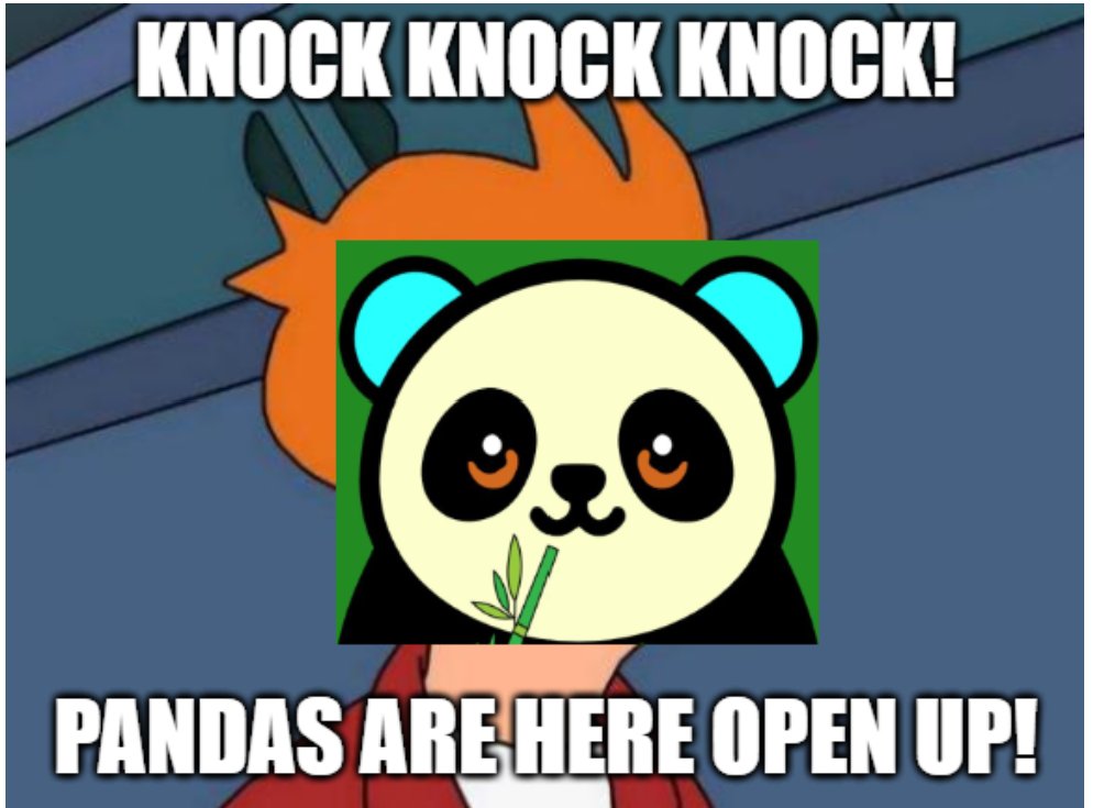 KNOCK KNOCK!