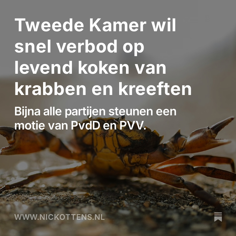 Nick Ottens (@nickottens) on Twitter photo De Tweede Kamer wacht al 3 jaar op een verbod op het levend koken van krabben en kreeften. Toch vroeg de staatssecretaris wéér om geduld. Voor <a href="/InesKostic/">Ines Kostić 🌏🕊</a> en <a href="/realDionGraus/">Dion Graus</a> reden om samen een vuist te maken.
Lees het verhaal in mijn nieuwsbrief: nickottens.nl/p/tweede-kamer… De Tweede Kamer wacht al 3 jaar op een verbod op het levend koken van krabben en kreeften. Toch vroeg de staatssecretaris wéér om geduld. Voor <a href="/InesKostic/">Ines Kostić 🌏🕊</a> en <a href="/realDionGraus/">Dion Graus</a> reden om samen een vuist te maken.
Lees het verhaal in mijn nieuwsbrief: nickottens.nl/p/tweede-kamer…