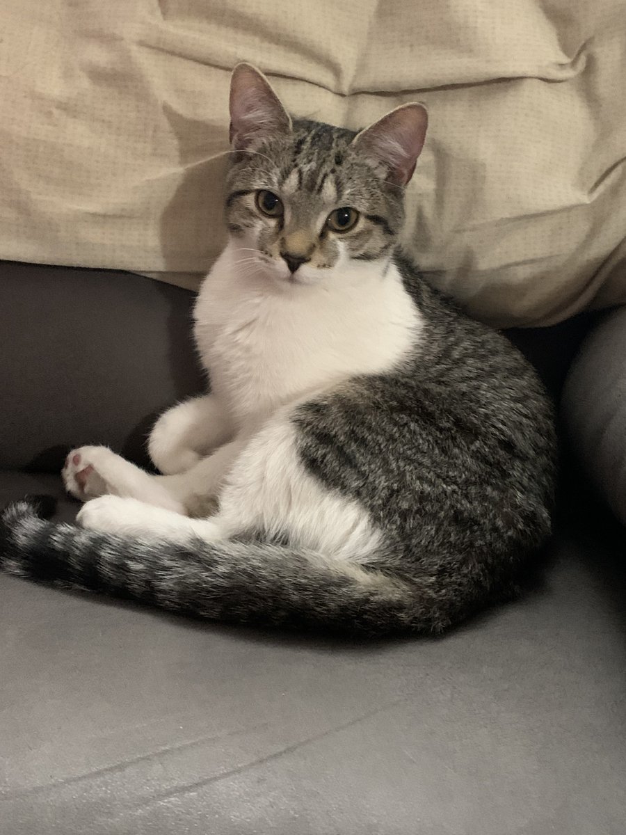 🐛🌷Dean🦋🪴 tweet media