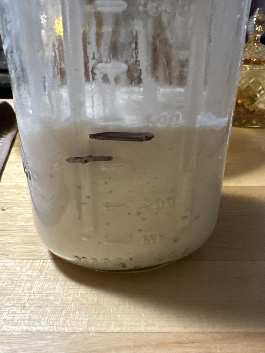 simply_cheeto's tweet photo. Day 10 of sourdough starter Clint Yeastwood. We are getting more bubbles! https://t.co/JaileKQUg6