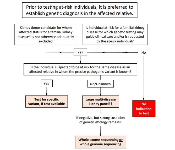 AJKD (@ajkdonline) on Twitter photo Advancing Genetic Testing in Kidney Diseases: Report From a <a href="/nkf/">National Kidney Foundation</a> Working Group
bit.ly/3ZA9abB (FREE)
@NoraFranceschi2 @alexchangmd <a href="/ndahl48/">Neera Dahl</a> <a href="/HilaMilo/">Hila Milo Rasouly</a> <a href="/NKF_NephPros/">NKF Nephrology Professionals</a> Advancing Genetic Testing in Kidney Diseases: Report From a <a href="/nkf/">National Kidney Foundation</a> Working Group
bit.ly/3ZA9abB (FREE)
@NoraFranceschi2 @alexchangmd <a href="/ndahl48/">Neera Dahl</a> <a href="/HilaMilo/">Hila Milo Rasouly</a> <a href="/NKF_NephPros/">NKF Nephrology Professionals</a>