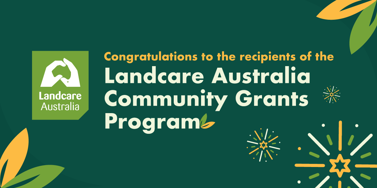 🎄 CHRISTMAS COMES EARLY 🎁
Landcare Australia has just announced the 26 recipients of the 2024 Landcare Australia Community Grants Program. 🌿

📋 Check out the Landcare Australia website for the full list of projects.
landcareaustralia.org.au/landcare-austr…