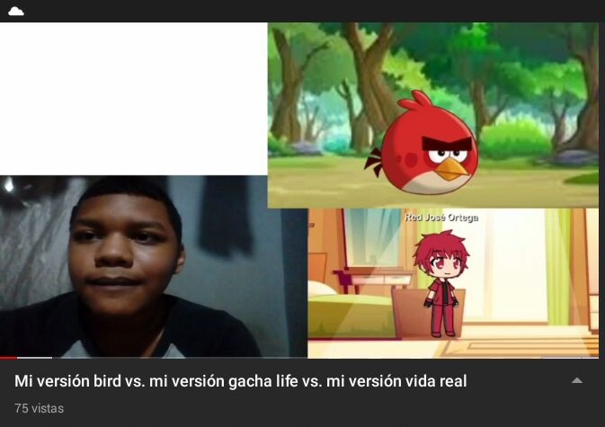 AngryBirds y Comunidad FueraDeContexto (@angrybirdsfdc) on Twitter photo 