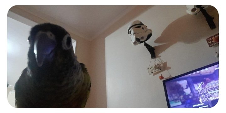 Pookie selfie <a href="/MissGitty94/">Gitty</a> <a href="/arniechunter/">Arnold Carpenter</a>