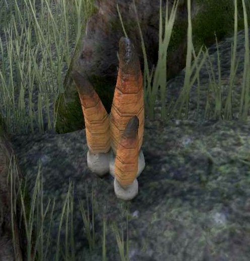 Elder Scrolls Ornaments Day 10: Stinkhorn

#TESOonline #ESOFam #ElderScrollsOnline