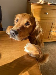 Really Mysterious (@reallymysterio1) on Twitter photo Where's my dinner ?โน๏ธ๐ข๐ฅน๐๐คฃ <a href="/Cyrano_Ghost/">Cyrano Ghostโฆ ๐ ๐พ๐ณ๏ธโ๐๐๐ณ๏ธโโง๏ธ๐โพ๏ธ</a> <a href="/NickAyer3/">Nick Ayer</a> <a href="/Windyla6/">Windyla</a> <a href="/NerdyGretel/">G-cubed ๐ชทโฎ๏ธ๐ธ๐บ๐ธ๐โ๏ธ๐ฆ๐ฌ</a> <a href="/ByAlexandraG/">Alexandra Gregor</a> <a href="/Janes_Circus/">Janeโs Bad Day</a> <a href="/kelhuntsli6103/">Kelly ~ kelhuntslight ๐บ๐ฒ ๐ง ๐ถ ๐ฉ๐โโฌ โฎ ๐บ๐ฆ</a> <a href="/Boomom512/">Barbara Besemer</a> <a href="/musicmaned/">Ed A</a> <a href="/KevanYoung2/">Kevan Young</a> <a href="/chrisharris019/">Chris Harris</a> <a href="/SebastianB57877/">Sebastian Belle</a> <a href="/manwithnodawg/">Allen jones</a> @Chosen083105 <a href="/Archidork_1/">Archidork</a> <a href="/douglukauskas/">Doug Lukauskas</a> <a href="/TheBillyJackLib/">Billy Jack Liberal ๐ช๐ฝ</a> <a href="/terry132_terry/">Lamont Terry #StopProject2025 NOT SPAM</a> Where's my dinner ?โน๏ธ๐ข๐ฅน๐๐คฃ <a href="/Cyrano_Ghost/">Cyrano Ghostโฆ ๐ ๐พ๐ณ๏ธโ๐๐๐ณ๏ธโโง๏ธ๐โพ๏ธ</a> <a href="/NickAyer3/">Nick Ayer</a> <a href="/Windyla6/">Windyla</a> <a href="/NerdyGretel/">G-cubed ๐ชทโฎ๏ธ๐ธ๐บ๐ธ๐โ๏ธ๐ฆ๐ฌ</a> <a href="/ByAlexandraG/">Alexandra Gregor</a> <a href="/Janes_Circus/">Janeโs Bad Day</a> <a href="/kelhuntsli6103/">Kelly ~ kelhuntslight ๐บ๐ฒ ๐ง ๐ถ ๐ฉ๐โโฌ โฎ ๐บ๐ฆ</a> <a href="/Boomom512/">Barbara Besemer</a> <a href="/musicmaned/">Ed A</a> <a href="/KevanYoung2/">Kevan Young</a> <a href="/chrisharris019/">Chris Harris</a> <a href="/SebastianB57877/">Sebastian Belle</a> <a href="/manwithnodawg/">Allen jones</a> @Chosen083105 <a href="/Archidork_1/">Archidork</a> <a href="/douglukauskas/">Doug Lukauskas</a> <a href="/TheBillyJackLib/">Billy Jack Liberal ๐ช๐ฝ</a> <a href="/terry132_terry/">Lamont Terry #StopProject2025 NOT SPAM</a>