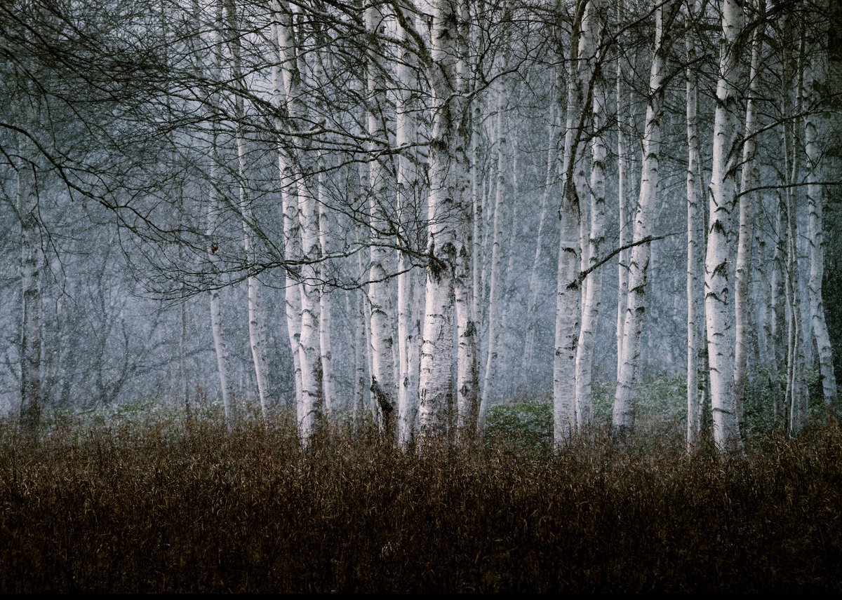 Atmospherics tweet media