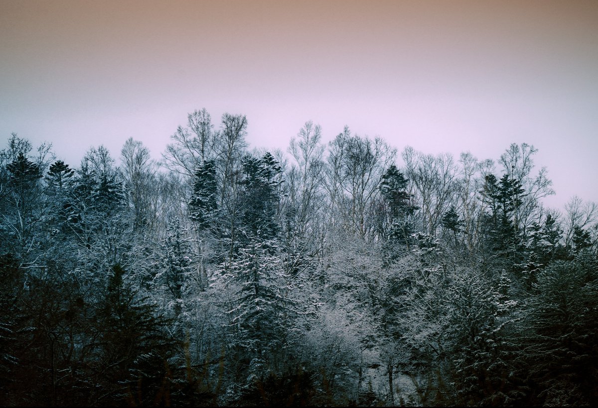 Atmospherics tweet media