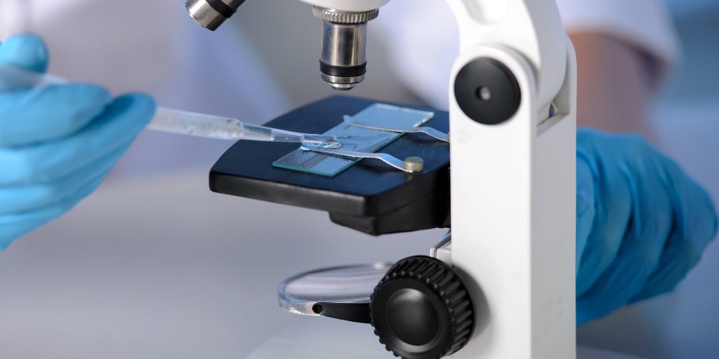 WakoLatin's tweet photo. Investigadores japoneses están desarrollando una gran variedad de enfoques para la #aclaracióndetejidos con el fin de obtener una mejor vista de los circuitos internos. Conozca nuestros productos aquí: https://t.co/PCPQCXN0B0 #microbiología #laboratorios https://t.co/0a6bkkjj6Q