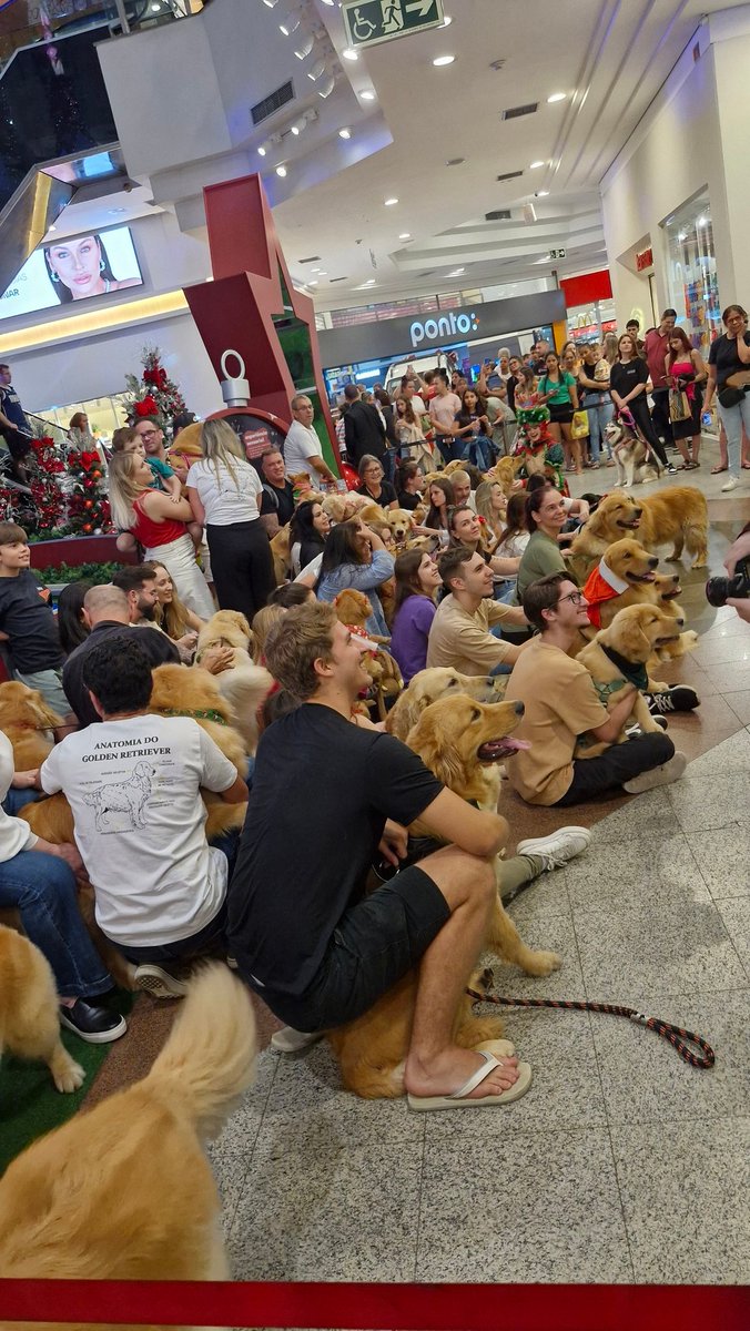 petcafer's tweet photo. eis que chego no shopping mueller e https://t.co/VywGxs9OAy