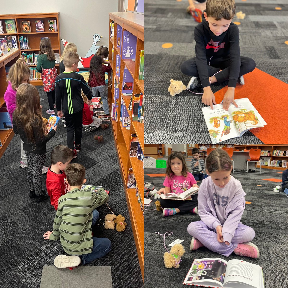 Apparently READ dogs are fond of reading about themselves! Our dog sections are bare! <a href="/NobEdFoundation/">NSEF</a> <a href="/NobleCrossing/">Noble Crossing</a>